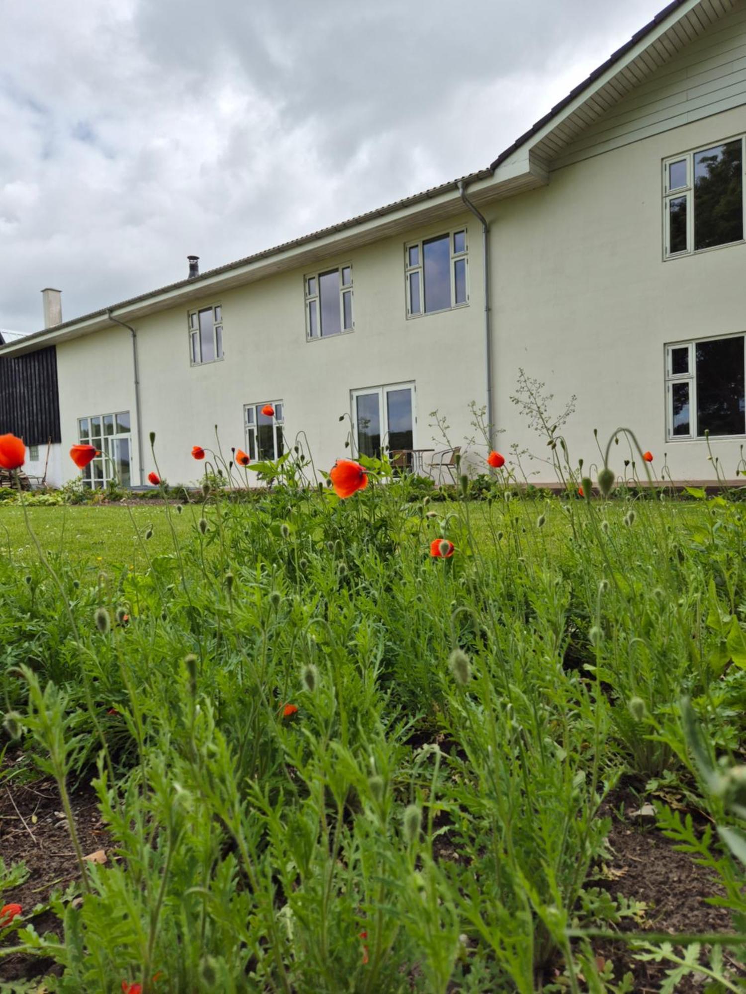 Mols Bed & Breakfast Knebel Kültér fotó