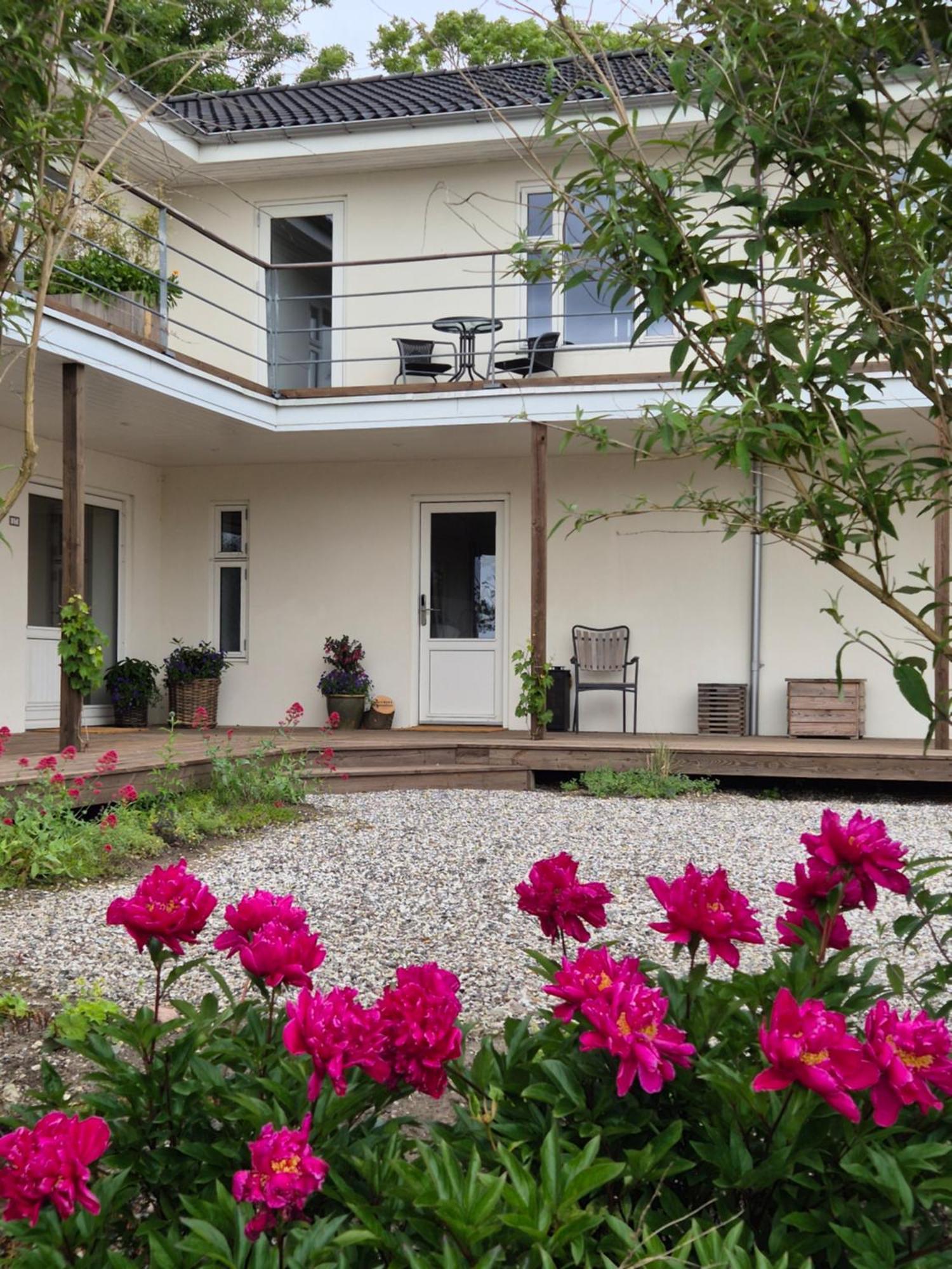 Mols Bed & Breakfast Knebel Kültér fotó