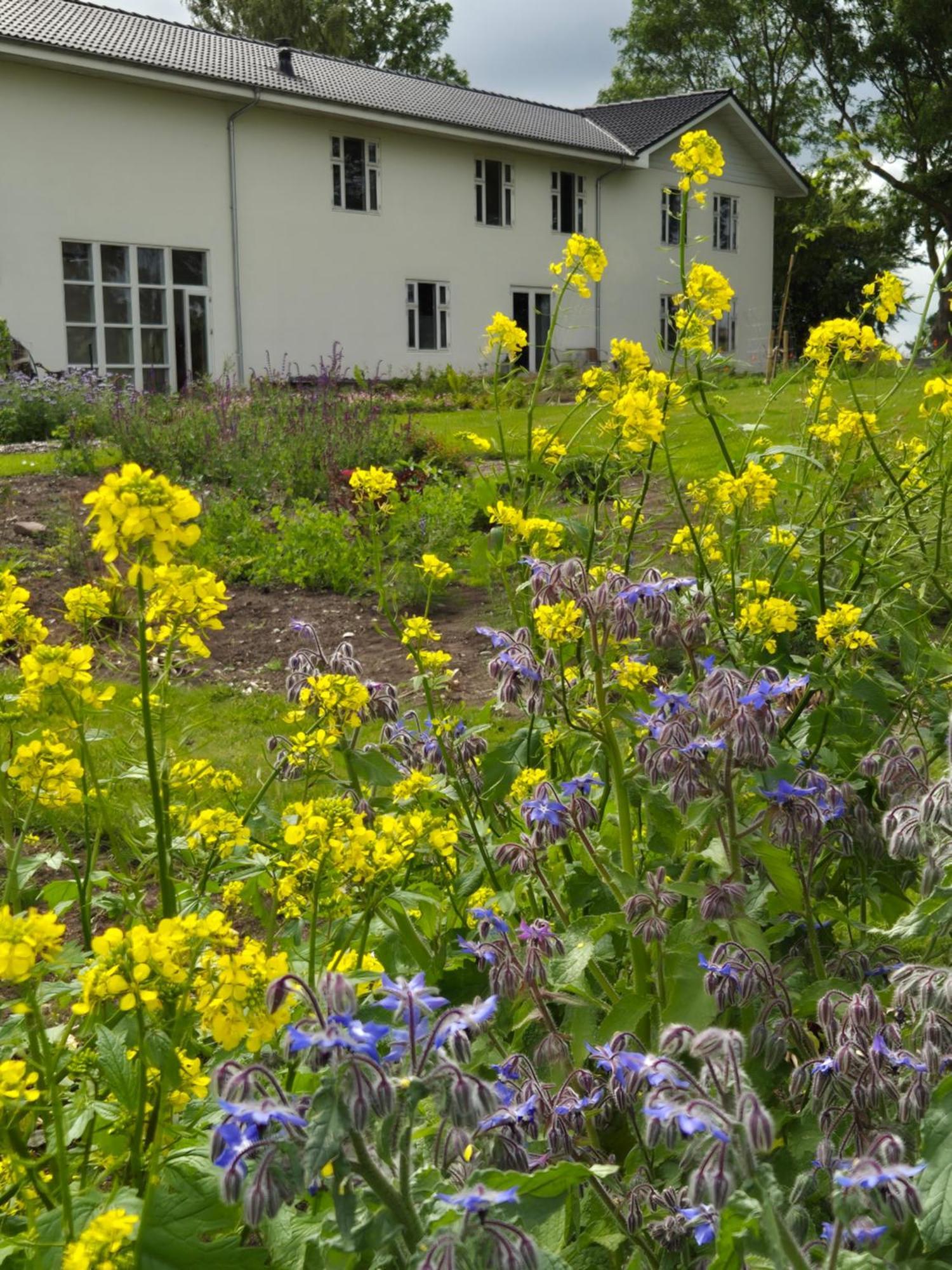 Mols Bed & Breakfast Knebel Kültér fotó