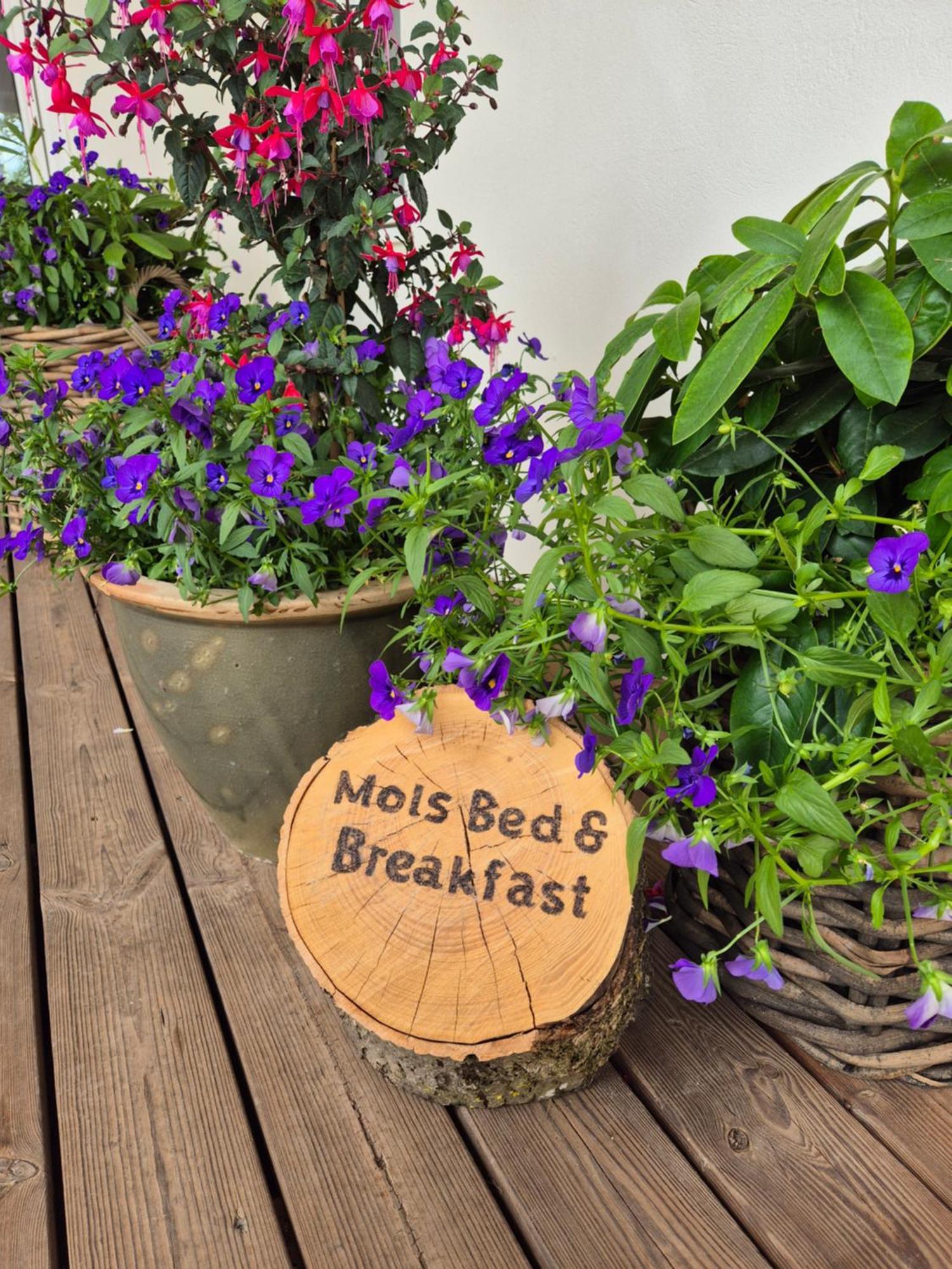 Mols Bed & Breakfast Knebel Kültér fotó